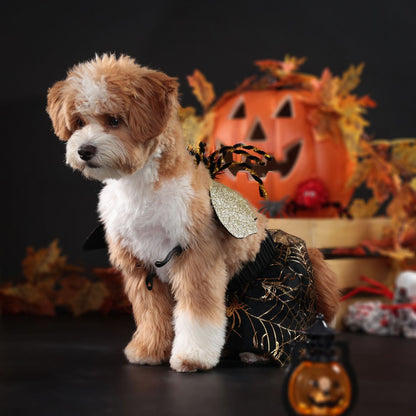 The Nocturne Formal Dog Suit