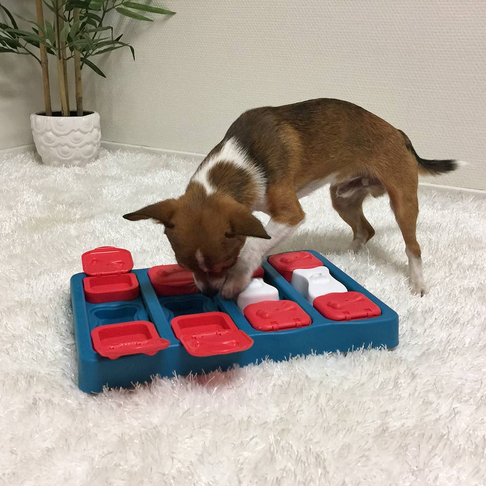 Nina Ottosson Dog Brick Treat Puzzle — Blue