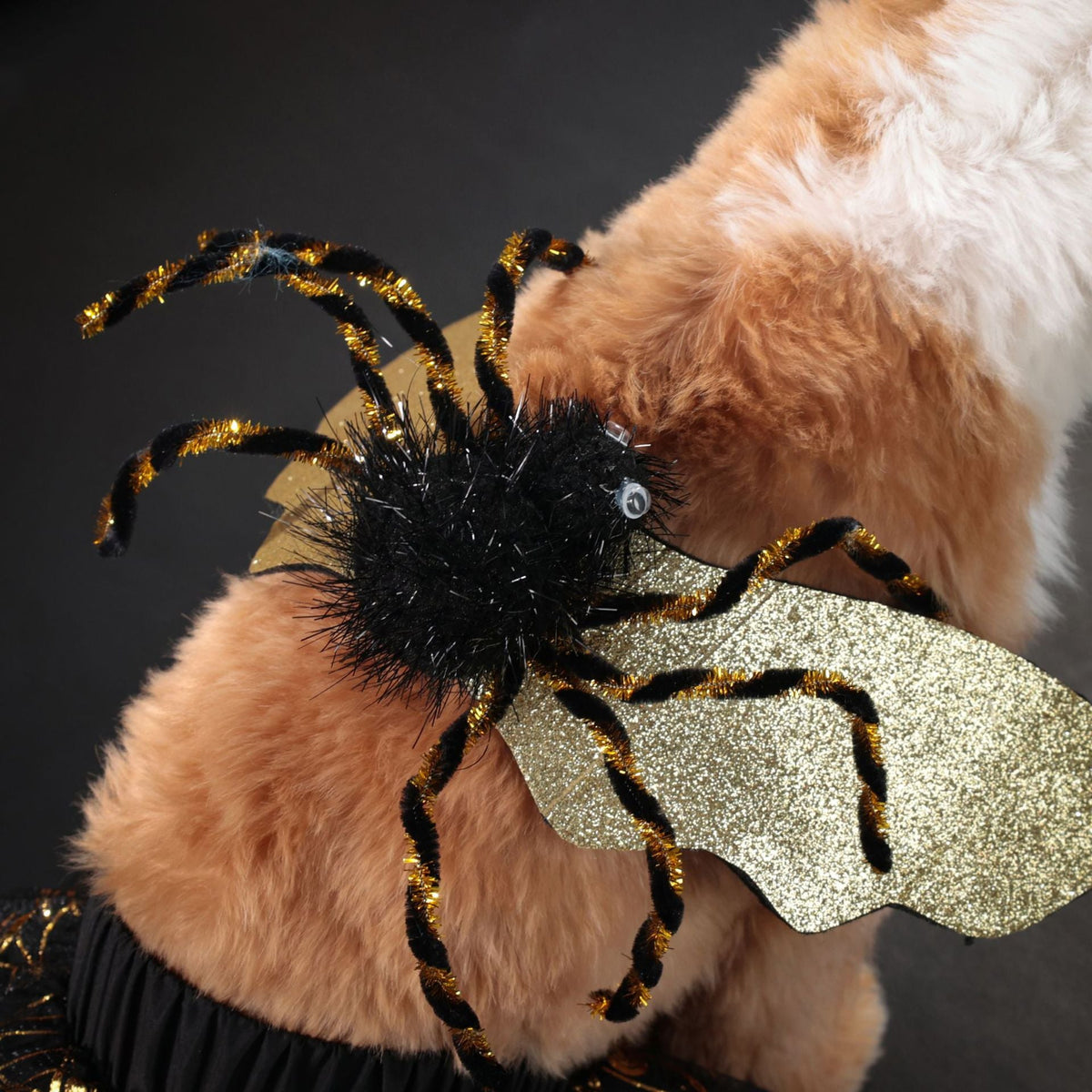 The Nocturne Formal Dog Suit
