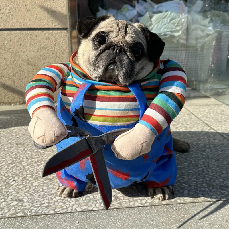 Scissor Pet Costume