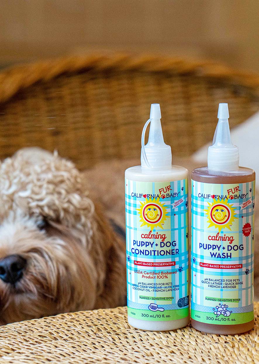 Calming Puppy & Dog Wash and Conditioner Set
