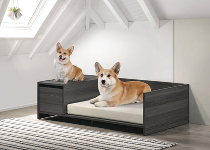 Ash-gray Governess’s Daybed with two dogs for scale