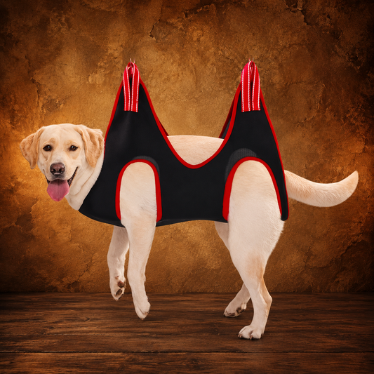 Pet Grooming Hammock