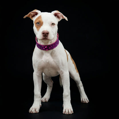 The Viola Drops Leather Collar