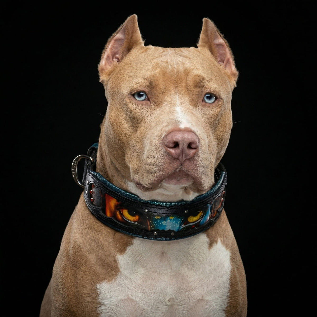 The Fire & Ash — Limited Leather Collar