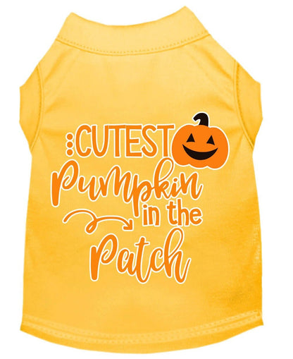 Cutest Pumpkin in the Patch Pet Shirt
