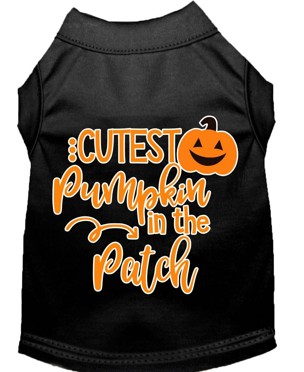 Cutest Pumpkin in the Patch Pet Shirt