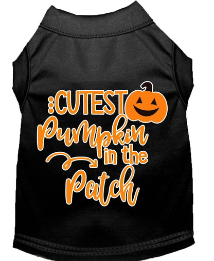 Cutest Pumpkin in the Patch Pet Shirt