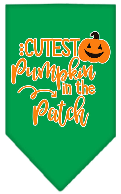 Cutest Pumpkin in the Patch Pet Bandana