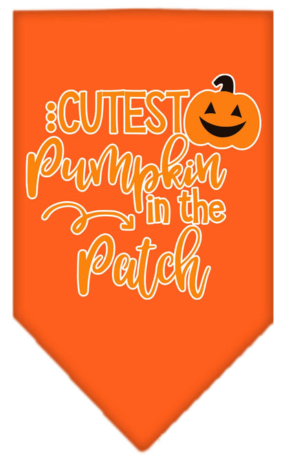Cutest Pumpkin in the Patch Pet Bandana
