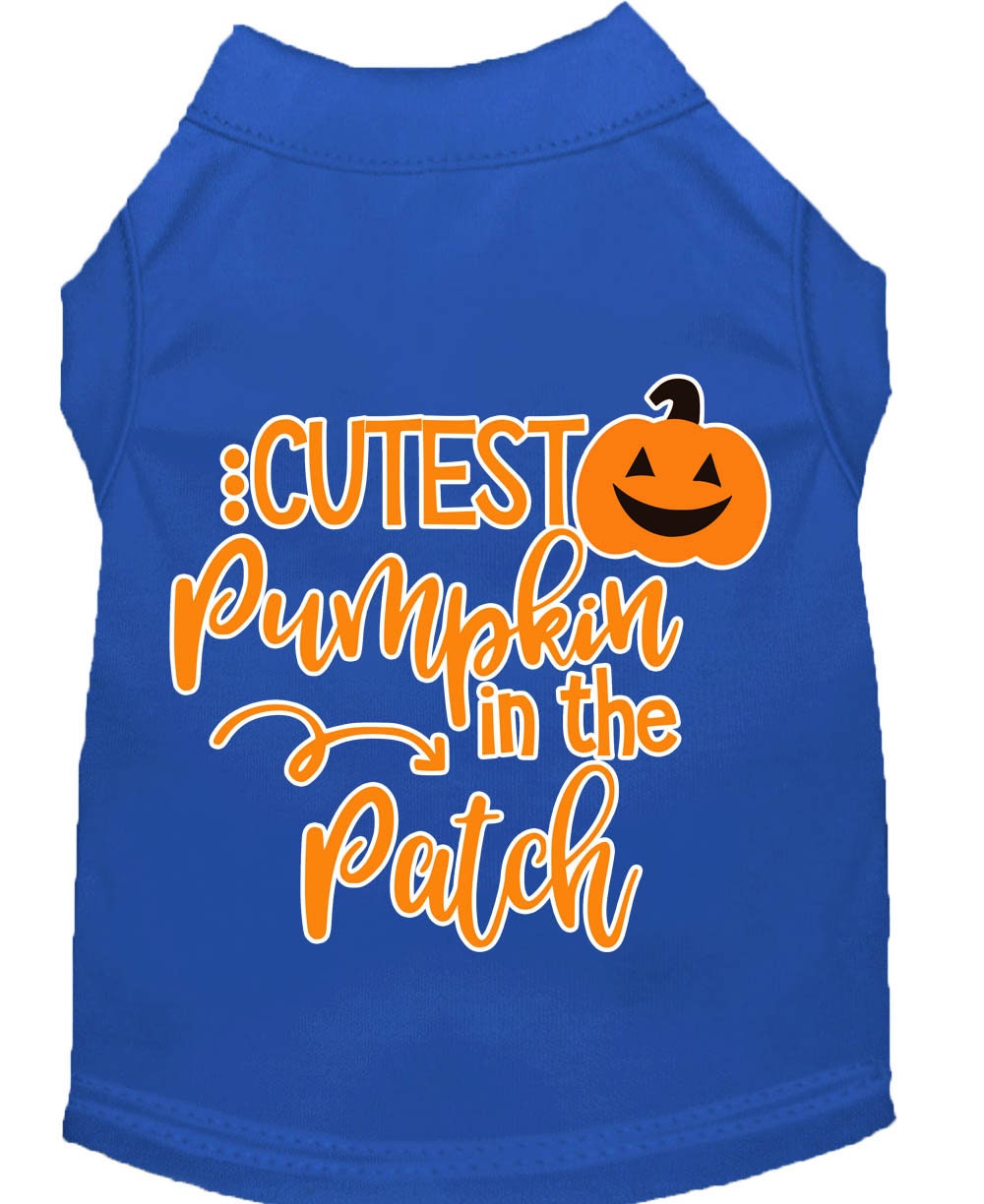 Cutest Pumpkin in the Patch Pet Shirt