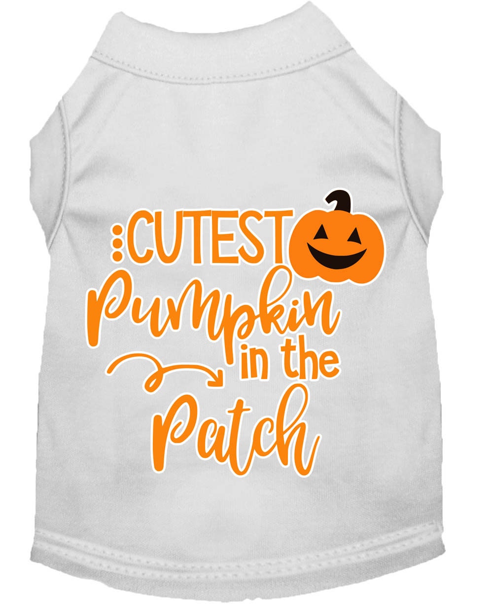 Cutest Pumpkin in the Patch Pet Shirt