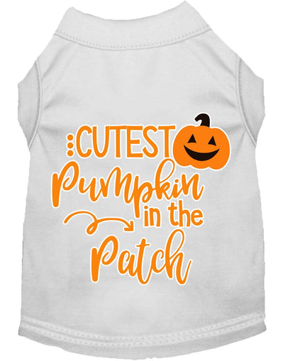 Cutest Pumpkin in the Patch Pet Shirt