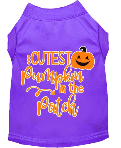 Cutest Pumpkin in the Patch Pet Shirt