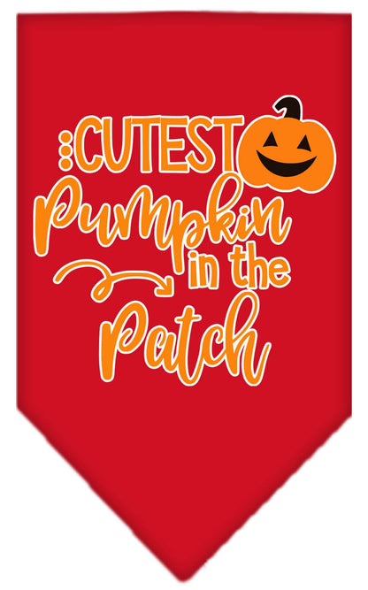 Cutest Pumpkin in the Patch Pet Bandana