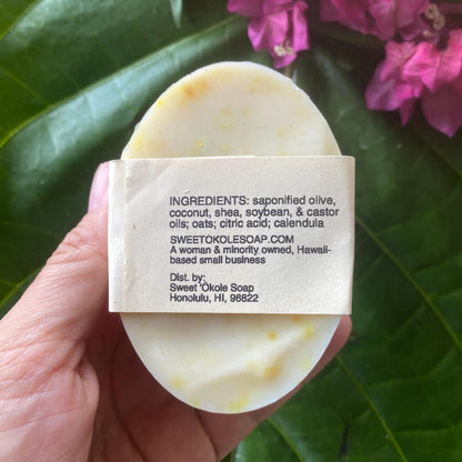 Gentle Unscented Pet Shampoo Bar