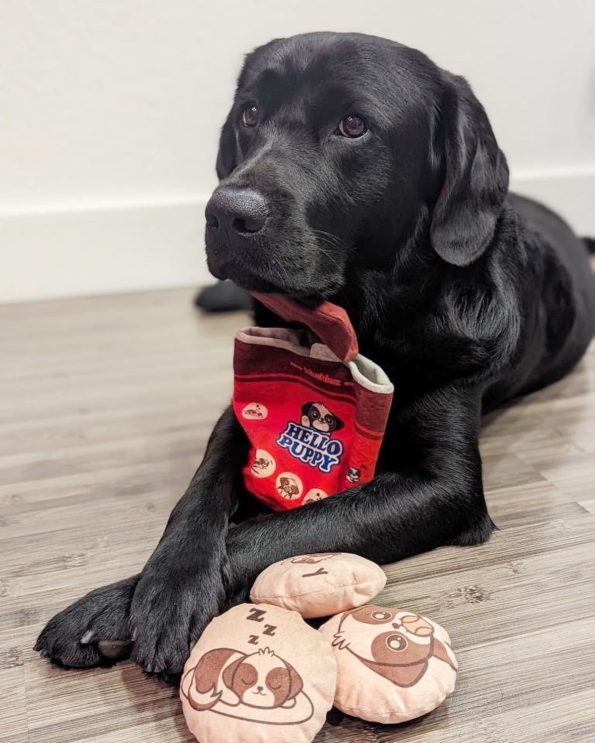 The Sweet Shop Four-Piece Dog Toy Set