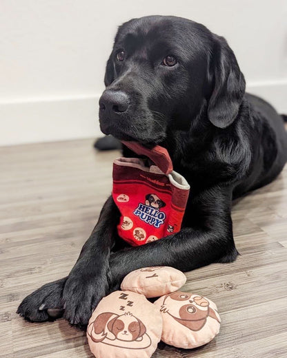 The Sweet Shop Four-Piece Dog Toy Set