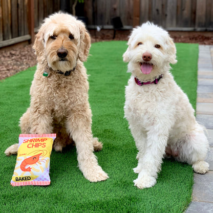 The Contraband Shrimp Chips — 2-Piece Crinkle Toy