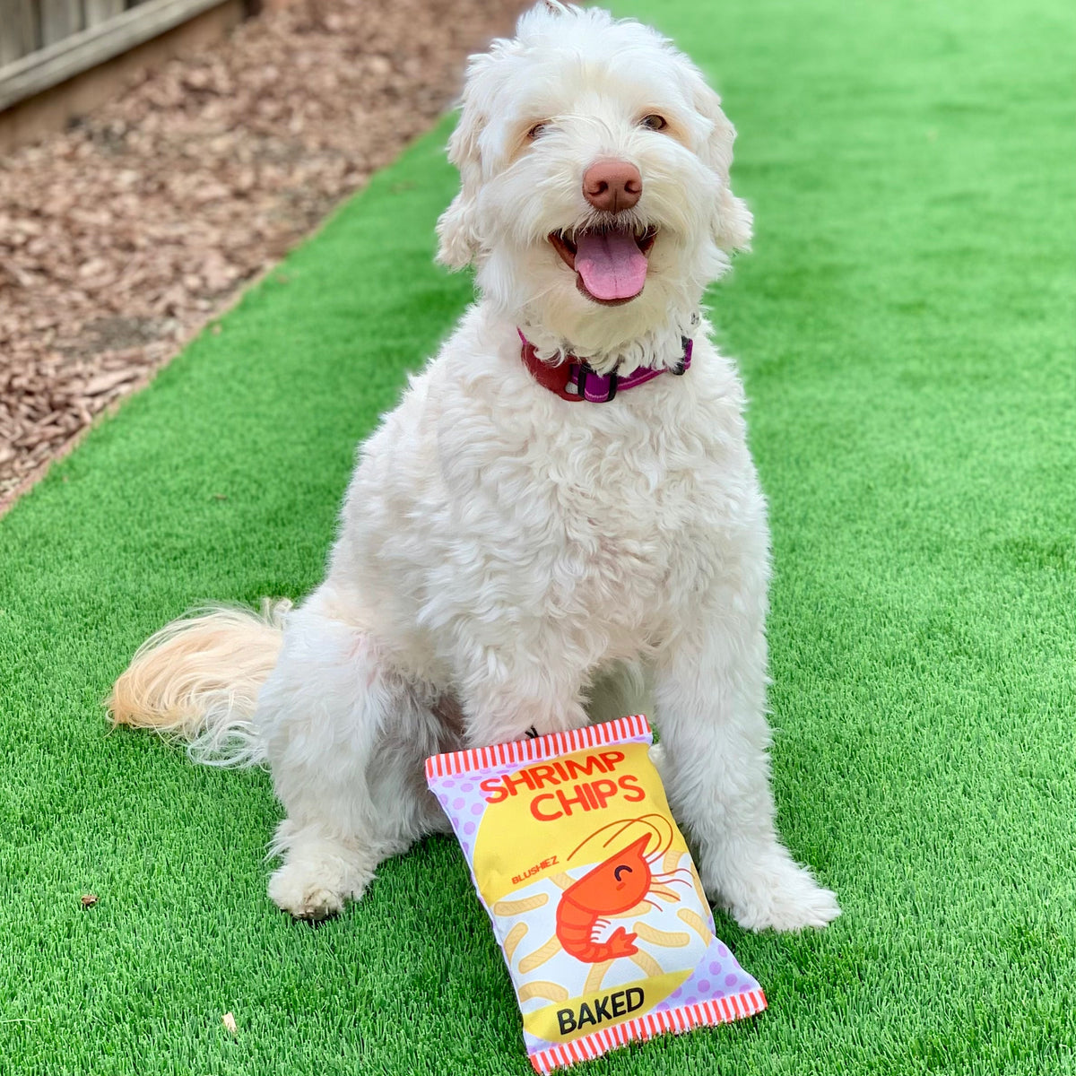 The Contraband Shrimp Chips — 2-Piece Crinkle Toy