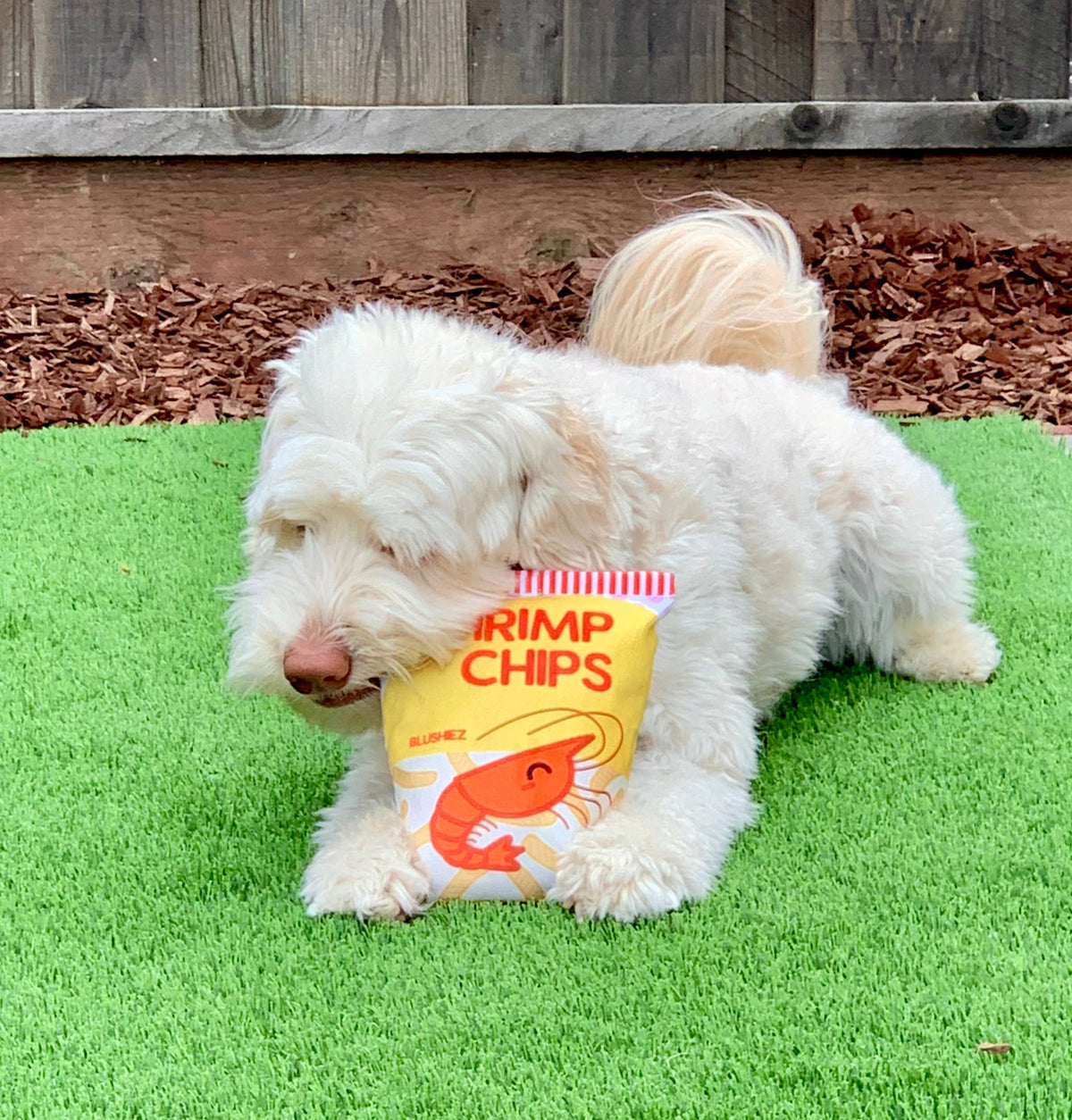 The Contraband Shrimp Chips — 2-Piece Crinkle Toy