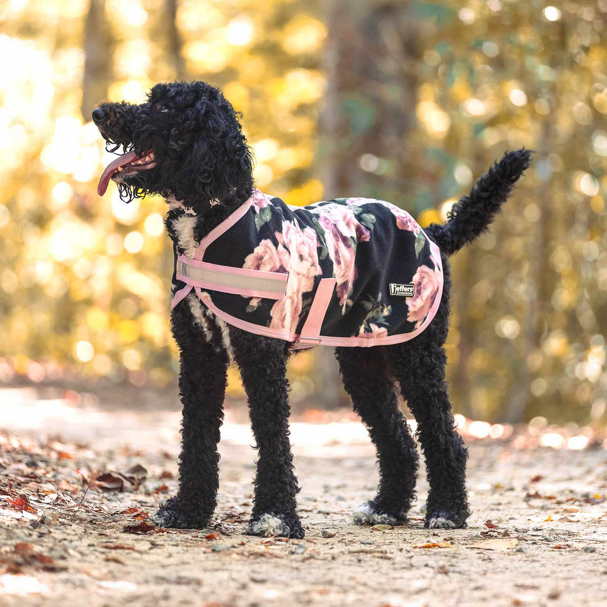 Jeffers Expression Fleece Dog Coat