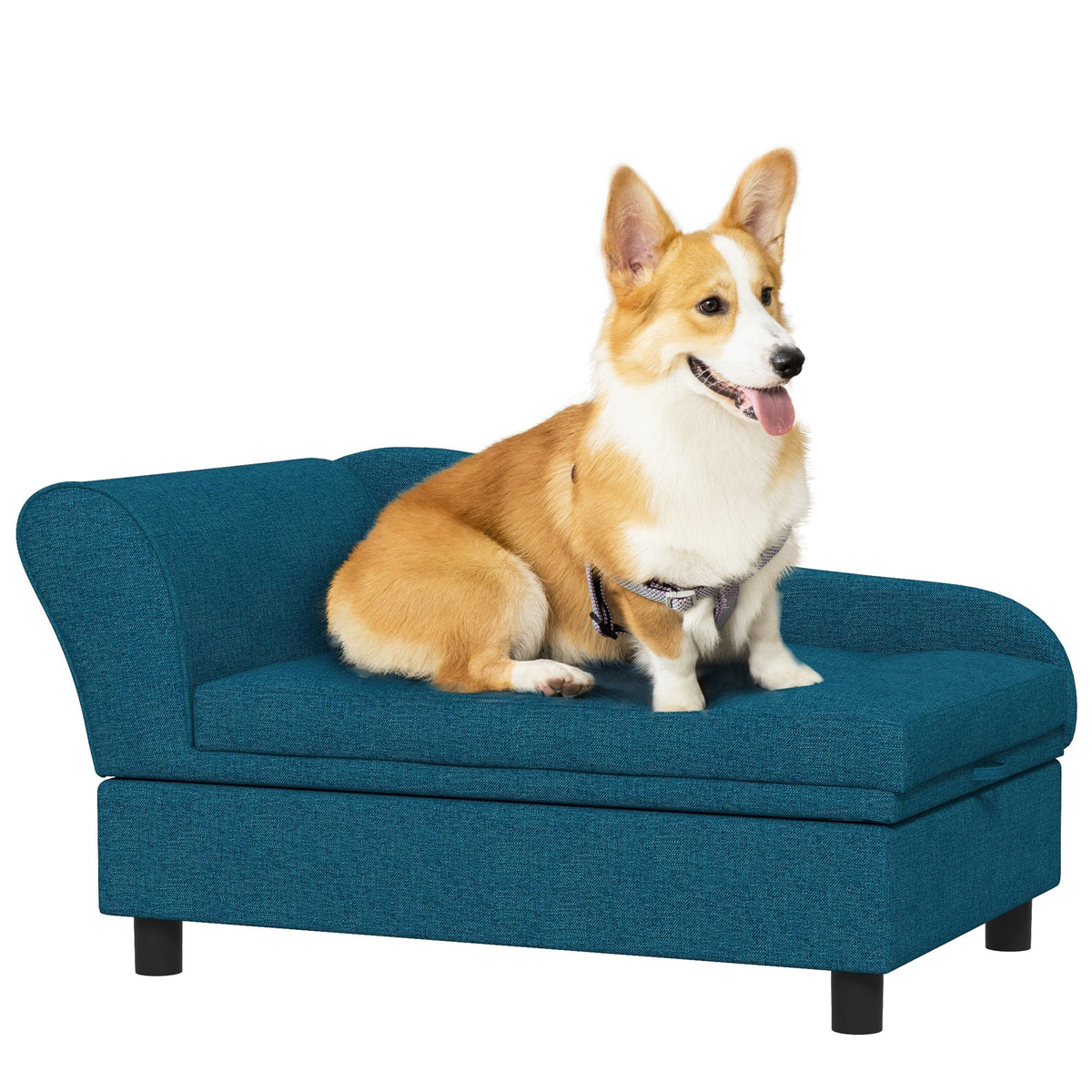 Blue Modern Drawing-Room Divan with a dog seated on the cushion
