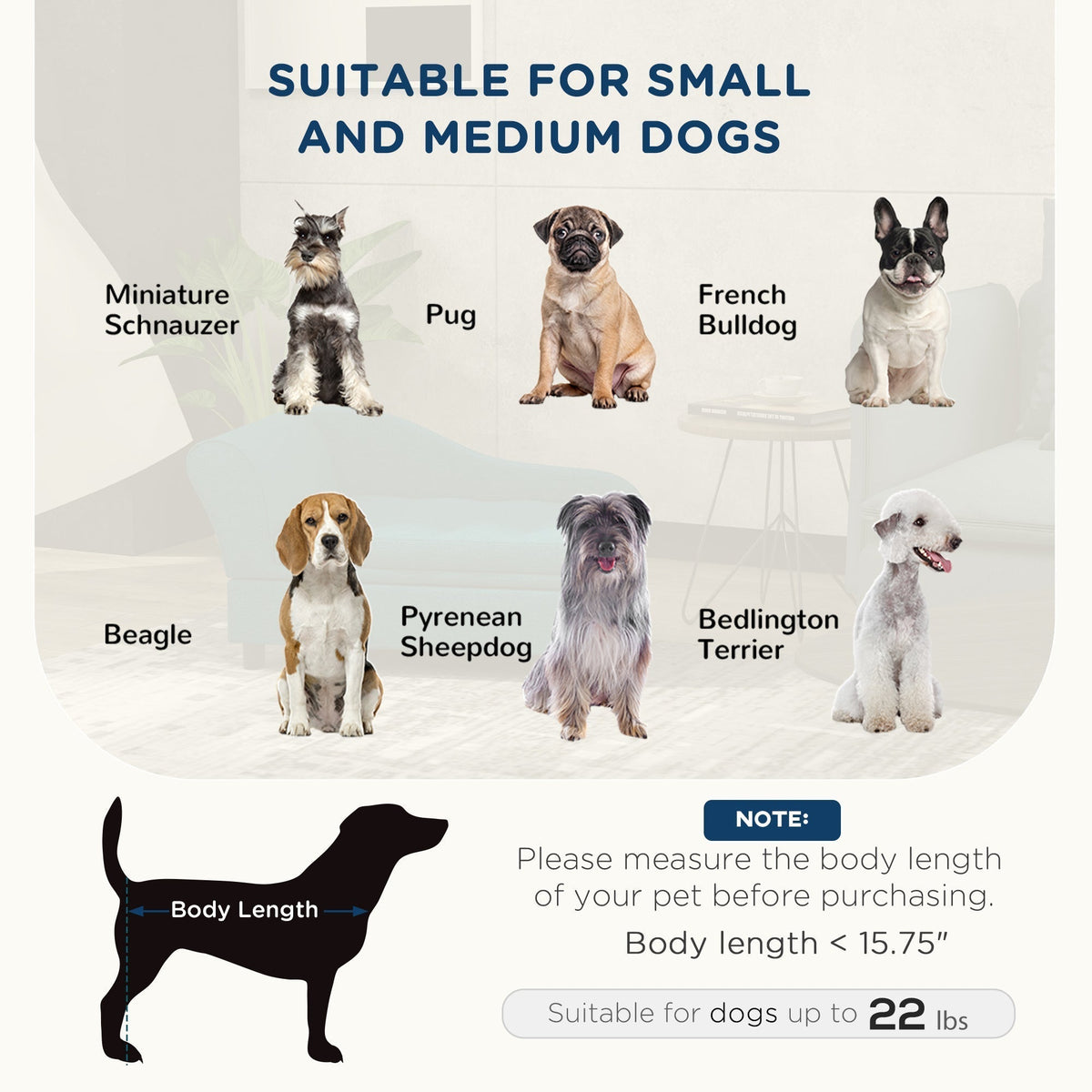 Dog size and body-length fit guide for the Modern Drawing-Room Divan