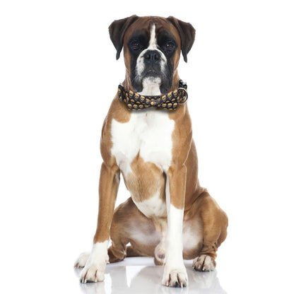 Lamphyface Halloween Dog Collar with Bow Tie