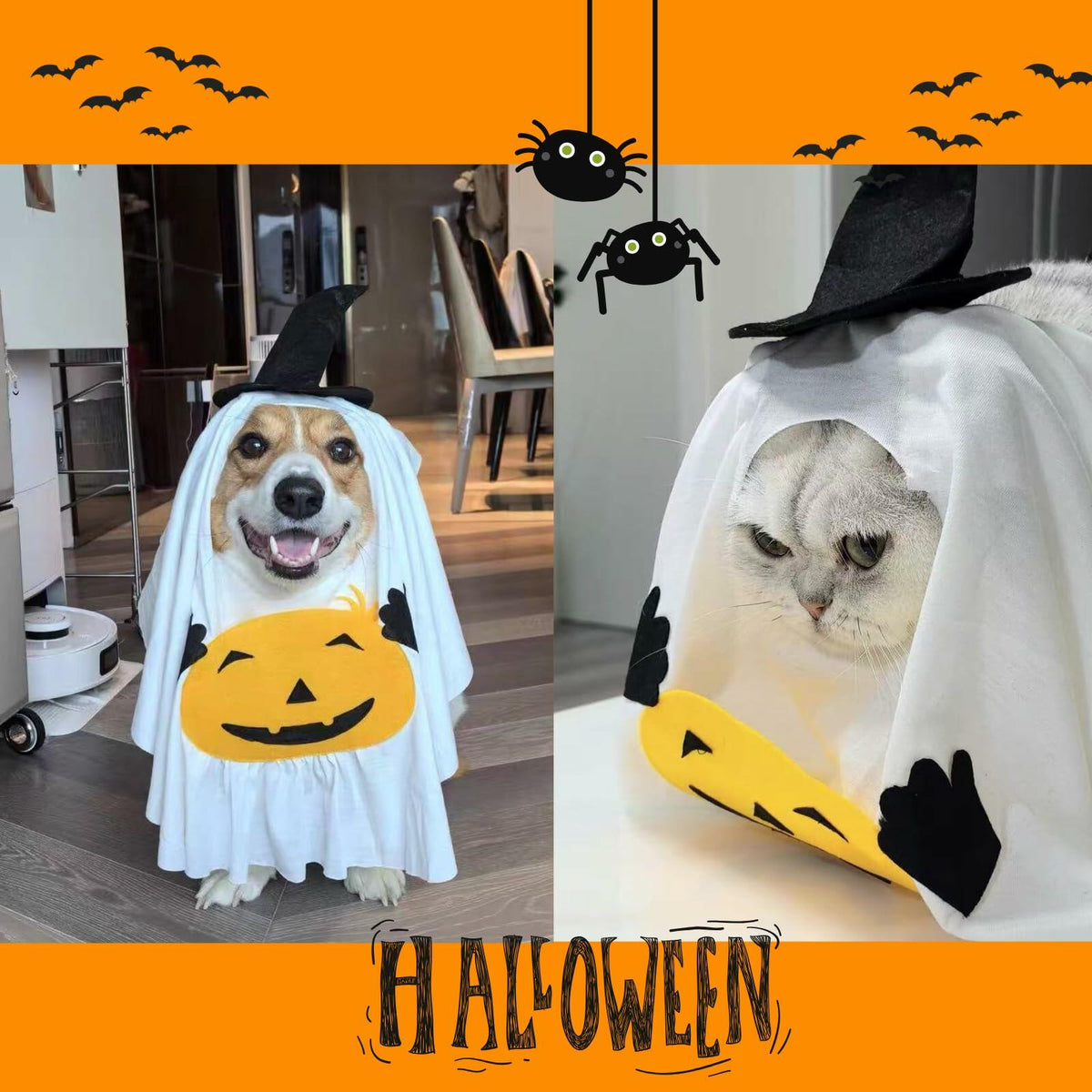 The Pumpkin Wraith Pet Costume
