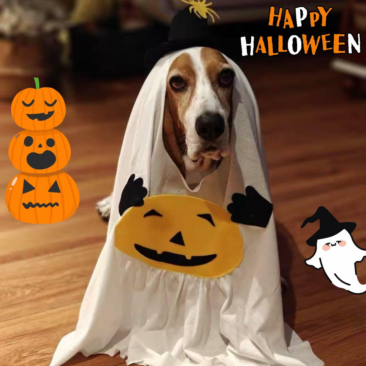 The Pumpkin Wraith Pet Costume