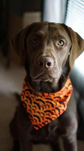KZHAREEN Reversible Halloween Dog Bandanas — 2 Pack