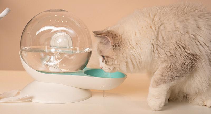 Pet Life Auto-Myst Gravity Waterer & Food Bowl