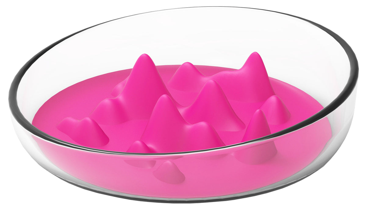 Pet Life Cirlicue Mountain Slow Feeder Bowl