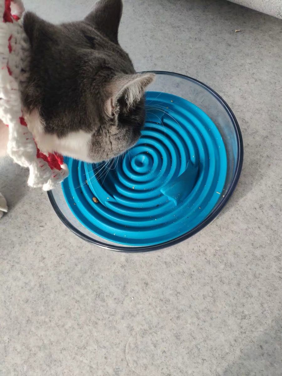 Pet Life Cirlicue Shark Fin Slow Feeder Bowl