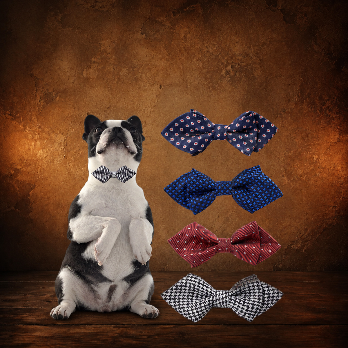 The Proper Little Bow Tie with a fully visible seated dog on an antique Pate’s Pugorium backdrop