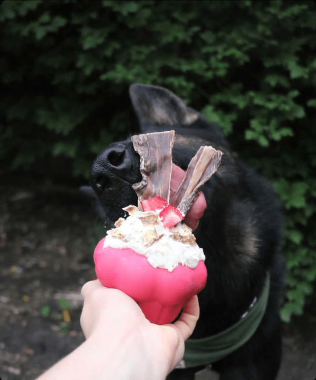 Devil's Food — Cupcake Treat Dispenser