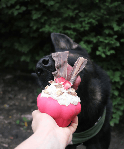 Devil's Food — Cupcake Treat Dispenser