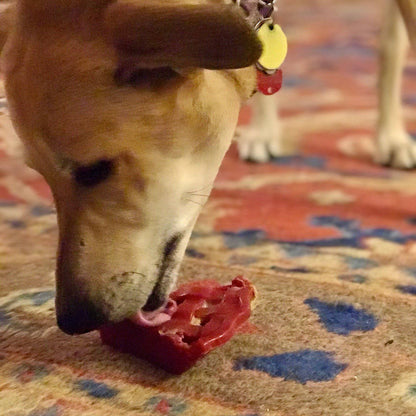 The Forbidden Slice — Cherry Pie Chew Toy