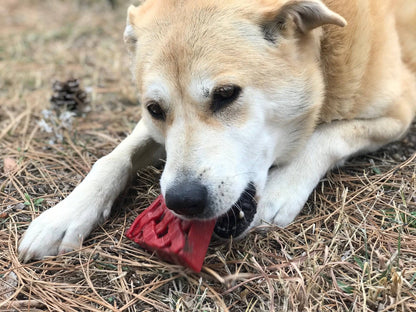 The Forbidden Slice — Cherry Pie Chew Toy