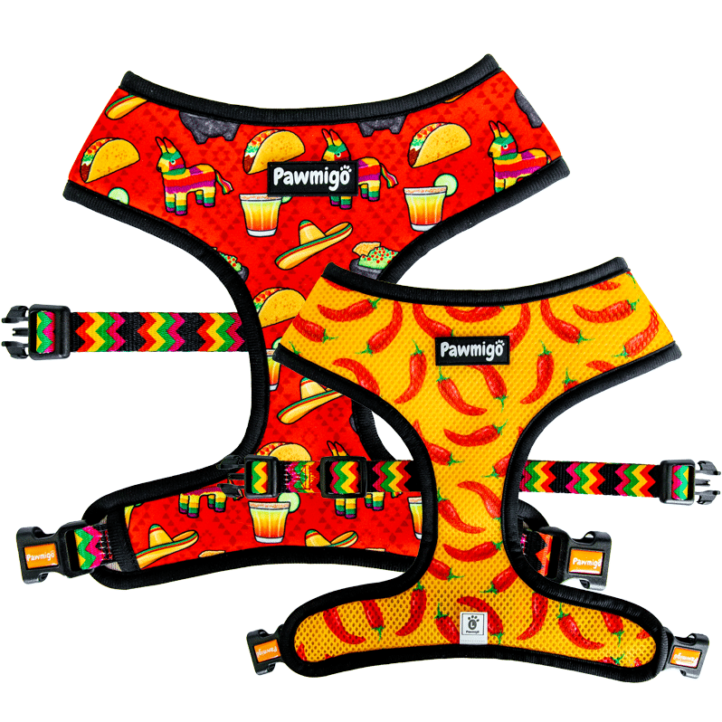 Taco Tuesday reversible harness showing the red fiesta and yellow chili-pepper sides