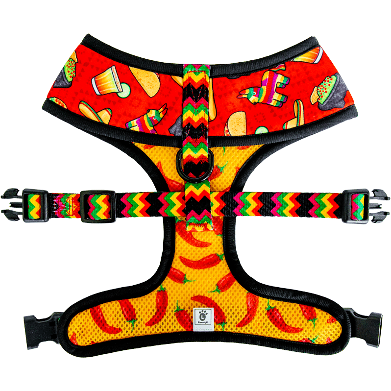 Taco Tuesday reversible harness open back view with straps and buckles