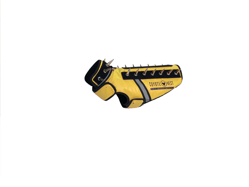The Armored Familiar — Protective SpikeVest