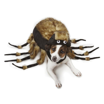 The Parlor Tarantula Dog Costume